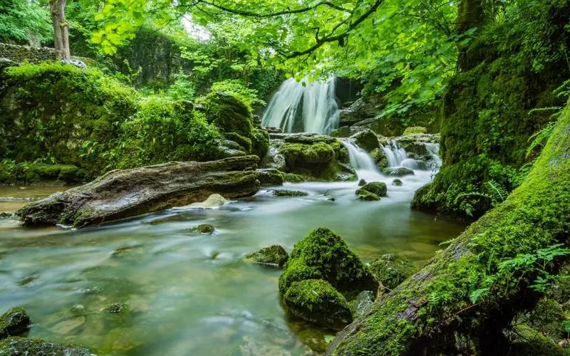 高端智慧智慧